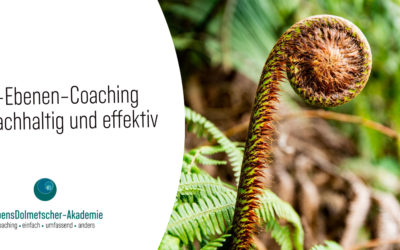 Warum ein 5-Ebenen-Coaching so effektiv und nachhaltig funktioniert